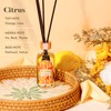 Reed Diffuser Set of 3 Pack, Linen Vanilla Citrus Scented