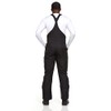 Arctic Quest Mens Insulated Snow and Ski Bib Overalls Snow