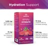 Swanson Simply Hydrate Electrolyte Mix - Sugar-Free Berry Blast Flavor