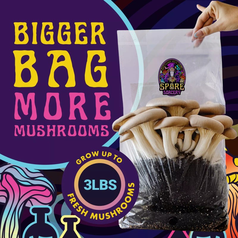 Spore Sorcery 6lbs All-in-One Mushroom Grow Kit in a Bag