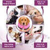 Inflatable Dog Collar with Quick Release and Adjustable Fit,This Protective