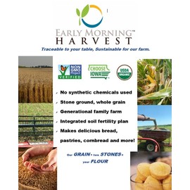 Early Morning Harvest Organic Corn Meal – Made and grown in USA, Non-GMO Yellow Corn – Stone Ground Corn Meal for Baking and Cooking, Whole Grain, Certified Organic cornmeal medium grind (28 ounces)