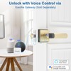 Fingerprint Door Lock & Biometric Door Knob with App –