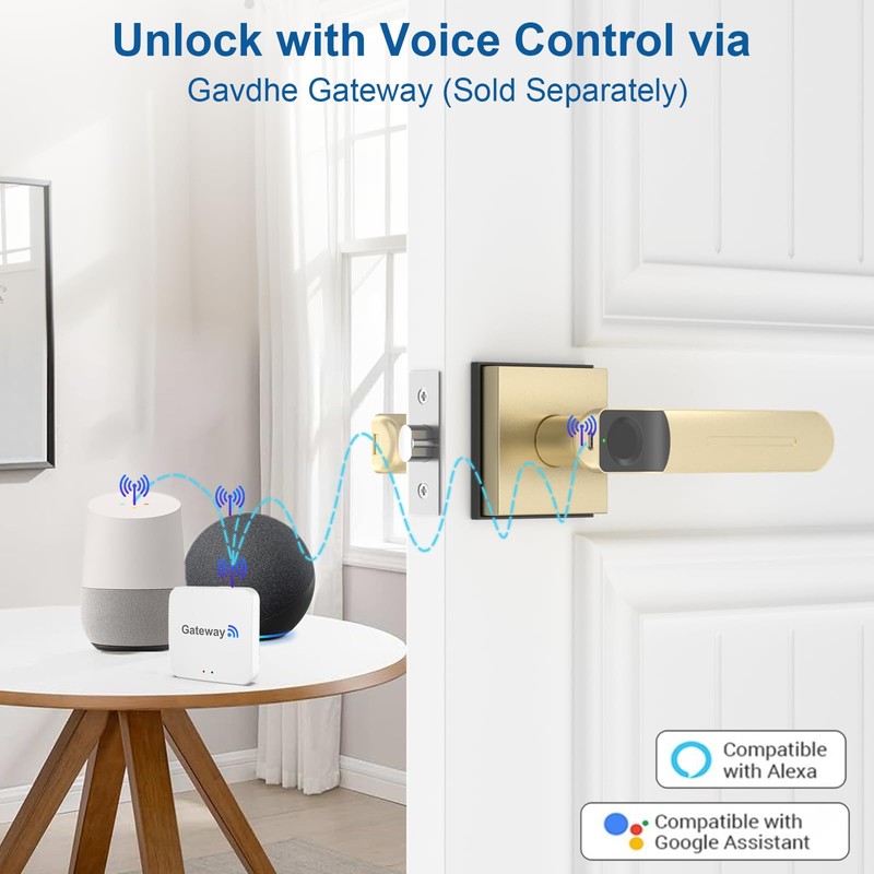 Fingerprint Door Lock & Biometric Door Knob with App –