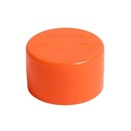 Eopzol 6722720 P-0018 1-1/2 Inch Slip-On Test Cap Replacement for Thrifco Plumbing