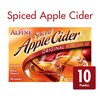 Spiced Apple Cider Mix- Original 10ct (4 Pack) 40 Pouches