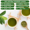 BOTAMONY Premium Organic Soursop Leaf Powder 7 oz, Sun-Dried Graviola