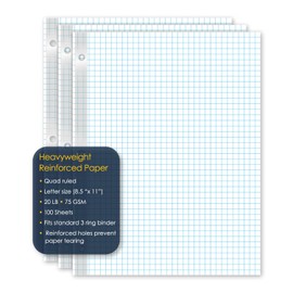 iScholar Reinforced Quad Filler Paper, 100 Sheets (83444)