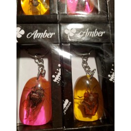 Insects Crystal Clear or Color  Keychain 12 Pcs  your choice buy 1 get 1 FREE