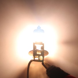 DZG Super White Bulbs