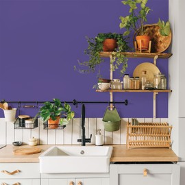 Glidden Interior Paint + Primer: Purple/Eggplant, One Coat, Eggshell, 1-Gallon