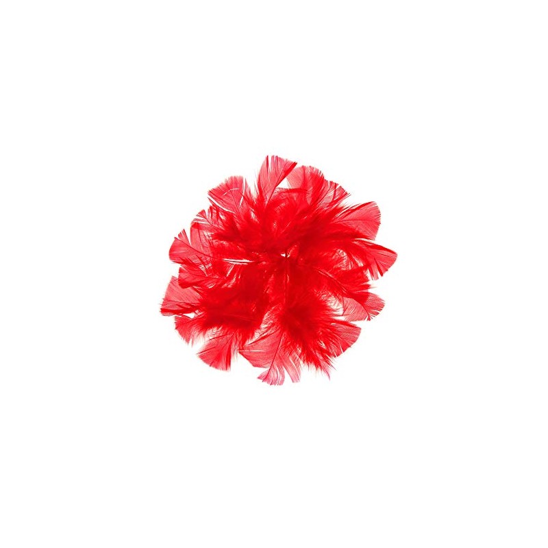 Barrilito Paquete de plumas naturales color rojo, contenido 18 gramos.