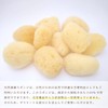 Natural Sea Sponges Silk Seeds, Approx. 2.0 inches (5 cm),