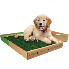 Gotta Go Grass - Real Dog Grass for Pet Training, Natural Grass Patch Potty, Dog Grass Pad Refill, Puppy Potty Training, Dog Accessories, Perfect Indoor/Outdoor Portable Potty (2 Pack, 16" x 24")
