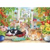 Otter House Gift Jigsaw Puzzle 1000 Piece - Greenhouse Cats