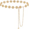 Liutufy Small Flower Metal Belt Chain - Adjustable Waist Chain