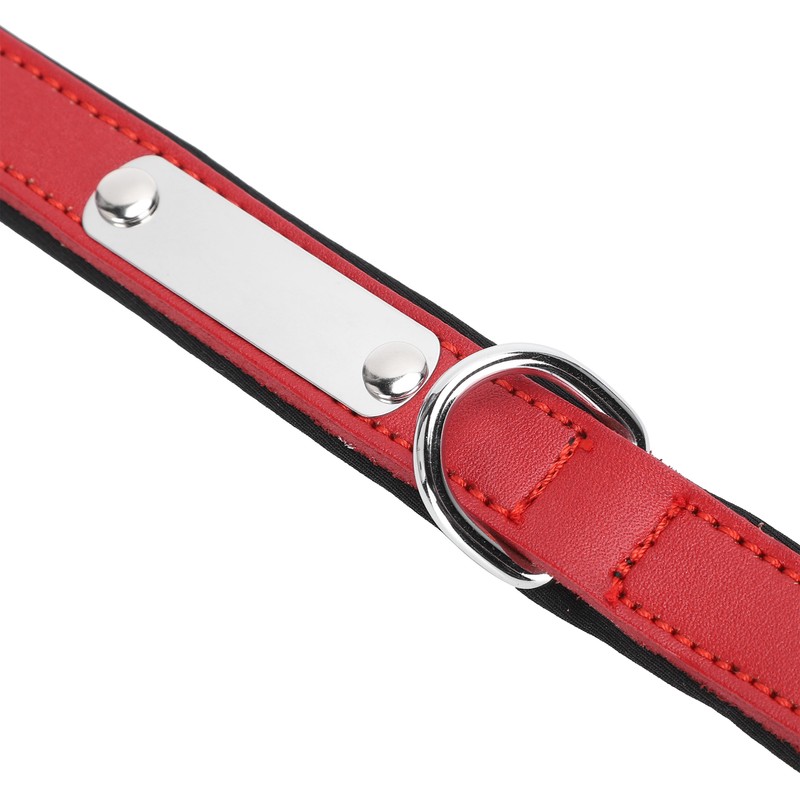 2pcs Pet Collar with Engraved Nameplate ID Tag Cowhide Padded