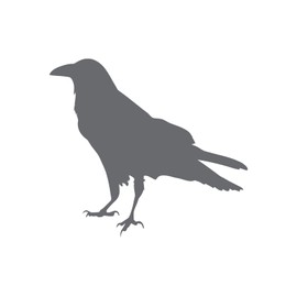 Crow Silhouette Bird Vinyl Decal Car Water Bottle Sticker