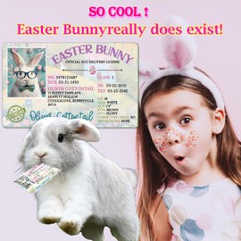 Easter Basket Stuffers,Bunny Cards, Rabbit Driver's License, Easter Bunny Lost Driver's License, Easter Decorations, Easter License Card for Kids, Easter Gifts for Kids (1 Pcs)