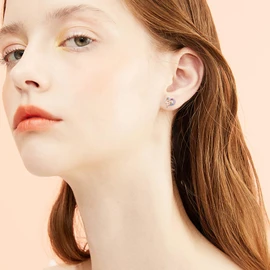 Capybara Earrings Capybara stud Earrings 925 Sterling Silver Heart-shape Stud Earrings with Cubic zirconia Hypoallergenic cute Animal Capybara Jewelry for Women