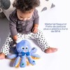 Baby Einstein Octoplush Musical Huggable Stuffed Animal Plush Toy, Learn