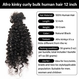 FAMILOCS 8-20 Inch Afro Kinky Curly Human Hair Bulk for Permanent Micro Locs,Twists, Braids, Repair Locs, with Needle and Comb (Natural Black, 10 Inch)