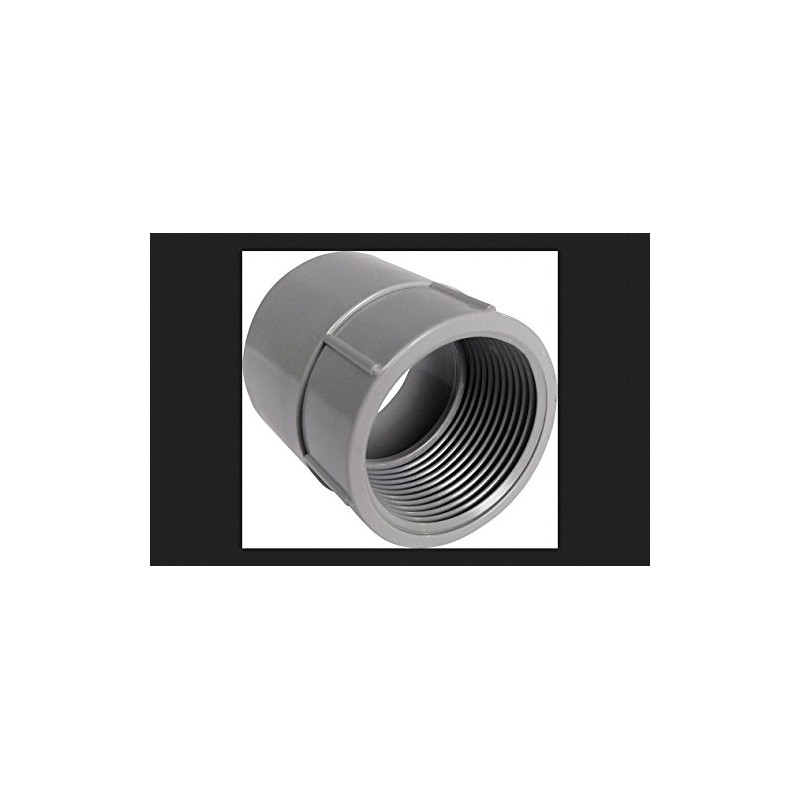 Cantex PVC Female Adapter 1-1/2" Schedule 40 Bulk