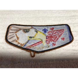 Boy Scout OA LODGE 617 Chi-hoota-wei flap MINT 1250GG