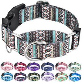 Fidohug Martingale Dog Collar with Buckle Tribal Design Adjustable Escape Proof Pet Collars (Aztec, Medium)