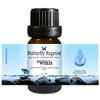 Le WithIn Essential Oil Blend 10ml - 100% Pure -