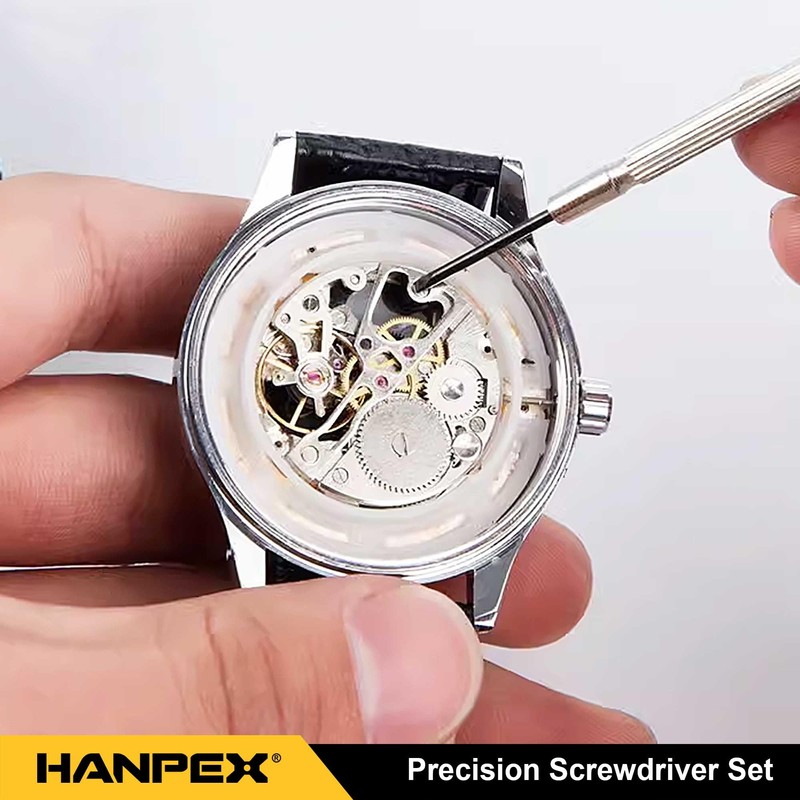 Hanpex Precision Screwdriver Set, 11 Pieces, Mini Flathead and Phillips,