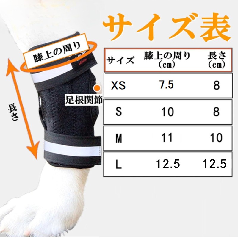 Pet Supporter, Elastic Velcro (Spring Included) Dogs, Rear Legs Dislocation,