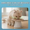 Necoichi Cuenco de Comida Extra Ancho para Gatos (Gato)