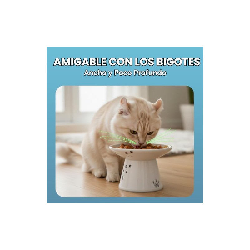 Necoichi Cuenco de Comida Extra Ancho para Gatos (Gato)