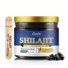 Catfit Shilajit High Absorption Resin. Energy, Memory, Stamina, 85+ Min