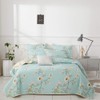 Joyreap 2 Pieces Reversible Floral Quilt Set Blue, Microfiber Soft