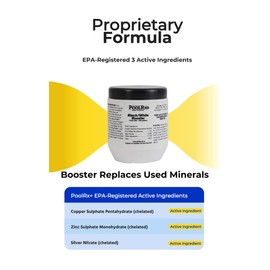 Pool RX 332066 PoolRX+ Booster Black Swimming Pool Algaecide, Single Unit