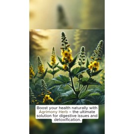 Heart What You Love Arrowroot Powder Ready | Organic Non-GMO | Digestive Support | 1/4/8 oz Sizes - 1 oz