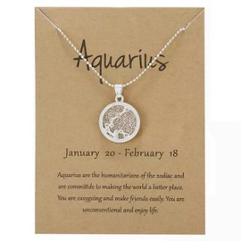 Silver Star Sign Coin Constellation Pendant Chain Necklace – Day – Aquarius (20th January - 18th February) - Zodiac Constellation Horoscope Celestial Astrology Jewellery - Women Men Gift