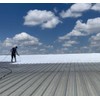 AMES RESEARCH LABORATORIES MSS1 Maximum Stretch Roof Coating, 1 Gallon,