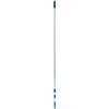 Ettore 43012 Extension Pole, 12', Silver, Blue