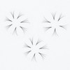GorgeousLash 1000 Premade Lash Fans. 10D, 8D, 7D, 6D, 5D,