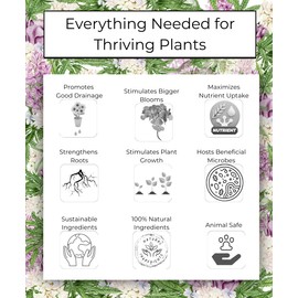 Budzilla Indoor Organic Potting Soil for Blooming Plants, 4 QT Bag, with Compost, Biochar, Mycorrhizae, Coconut Coir, Worm Castings, and Silica Sand