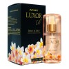 Tratamiento Anven Aceite Reparador Cabello 100 Ml Luxor Oil