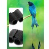 Binocular 8X22 Portable Instant Focus High Resolution Lens Multilayer Coating