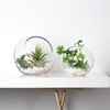 WGV Slant Cut Bowl Glass Vase, Width 9", Height 9",