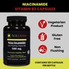 SOLDERM Niacinamide 500mg Non-Flushing | Vitamin B3 | Vegetarian, Gluten-Free