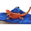 Hammock for Bearded Dragons, Starry Night fabric with suction cup