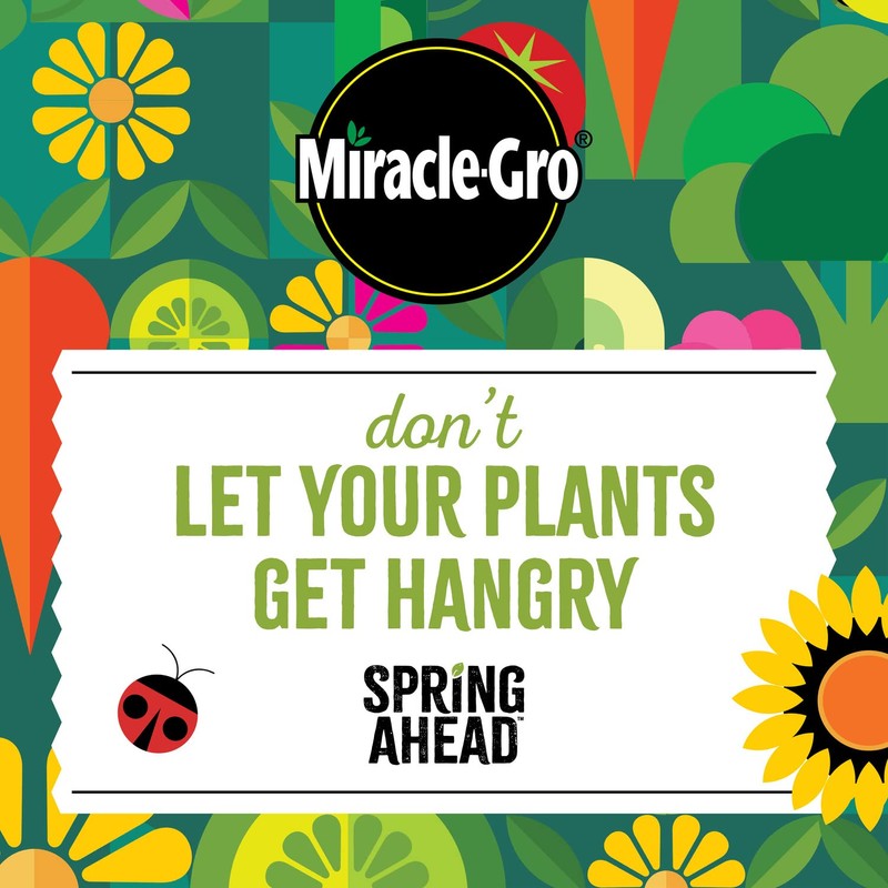 Miracle-Gro Spring Ahead - Granular Plant Food for All Plants,