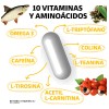 Day Complex Nootrópico Con Vitaminas Y Minerales | Suplemento Energetizante